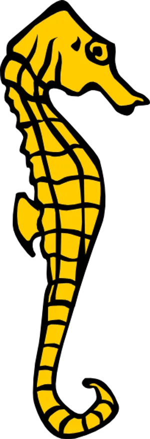 海马的剪辑艺术