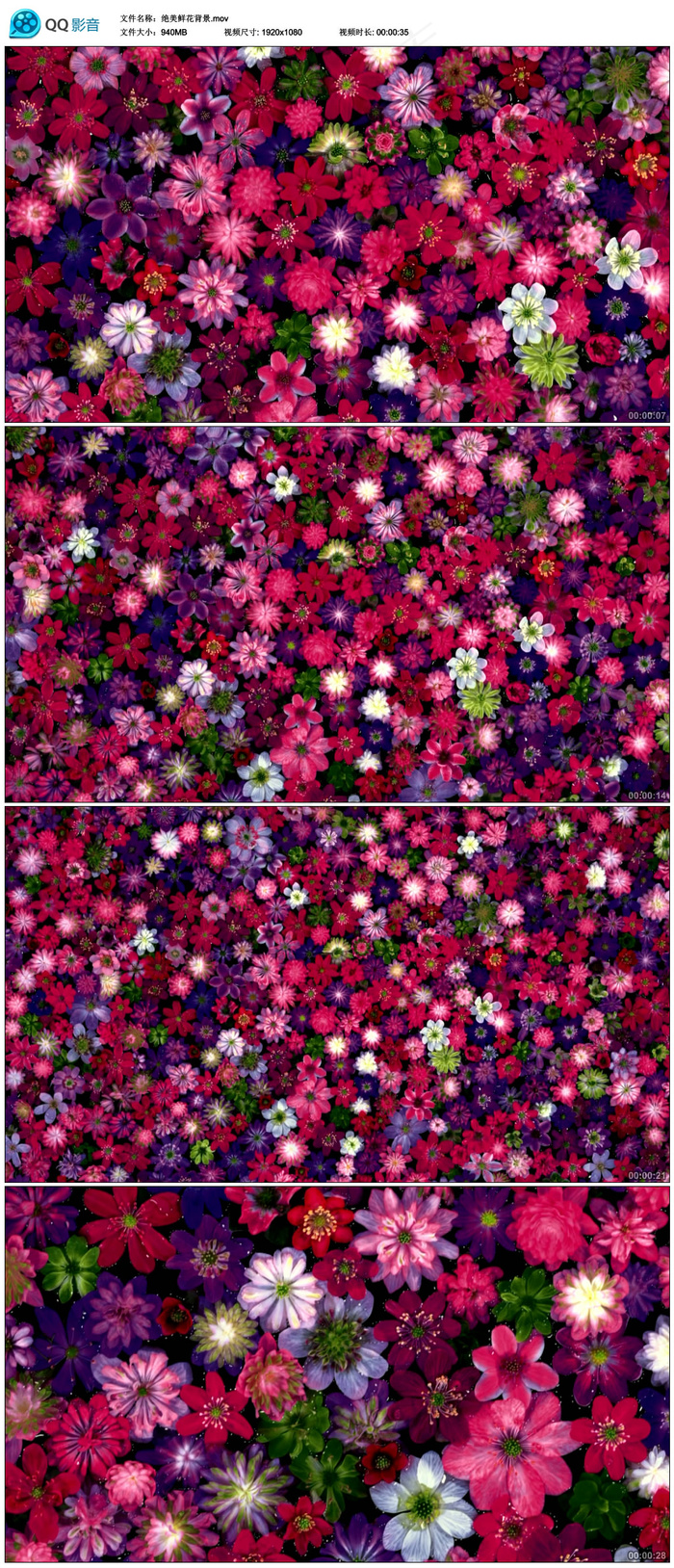 唯美鲜花背景高清实拍视频素材