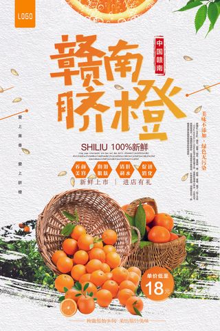 2017年橙色卡通插画赣南脐橙海报