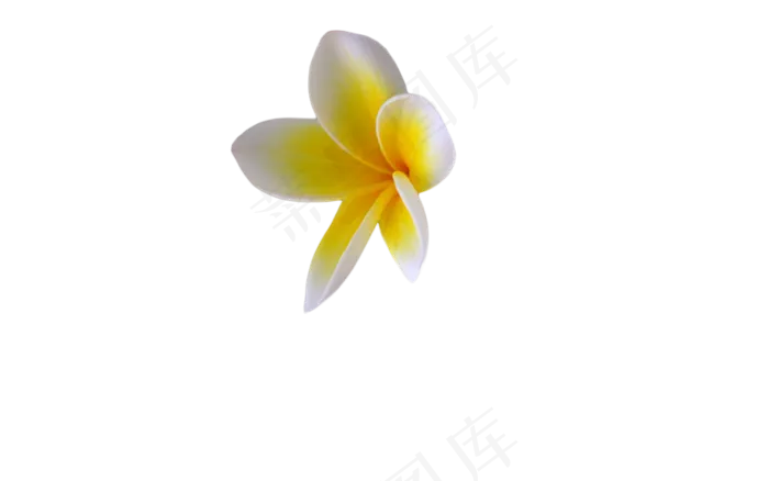 免扣花