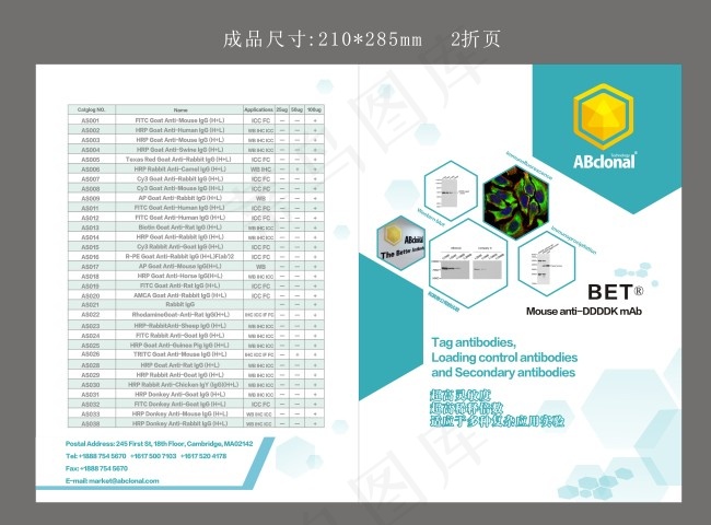 生物科技两折页