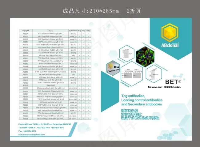 生物科技两折页cdr矢量模版下载