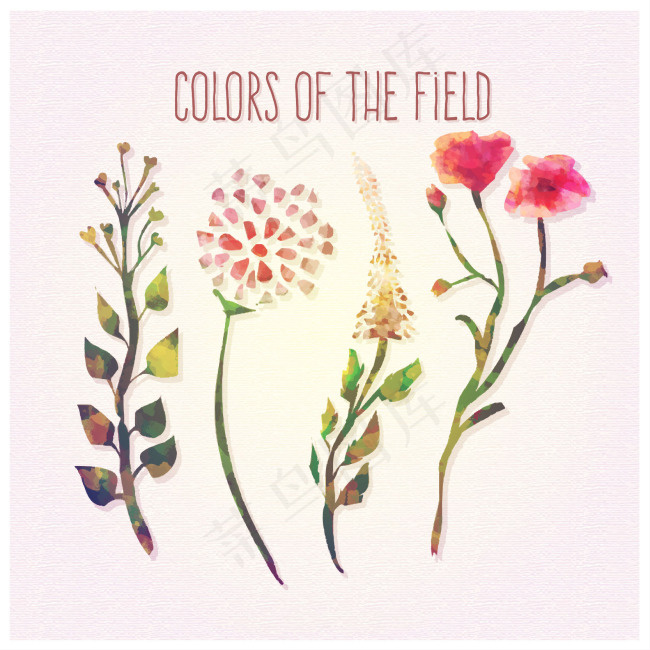 手绘小清新花朵植物