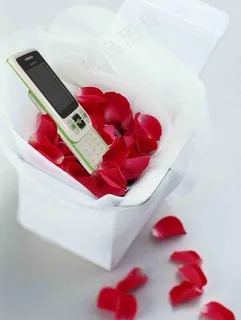 萨际通海报图片