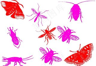 一组昆虫笔刷图片