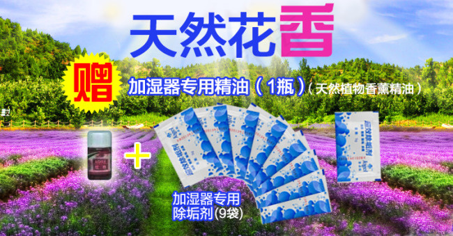薰衣草香精psd模版下载