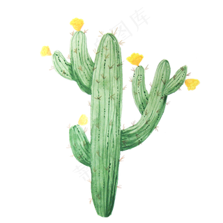 手绘水彩小清新黄色花朵仙人掌植