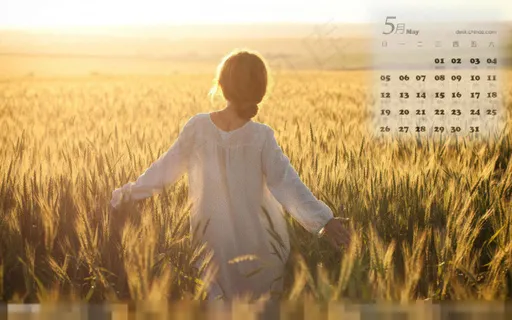 夏天日历大图电脑桌面素材下载