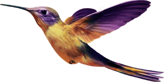 水彩手绘鸟类小鸟麻雀PNG免扣图片