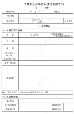 企业年报