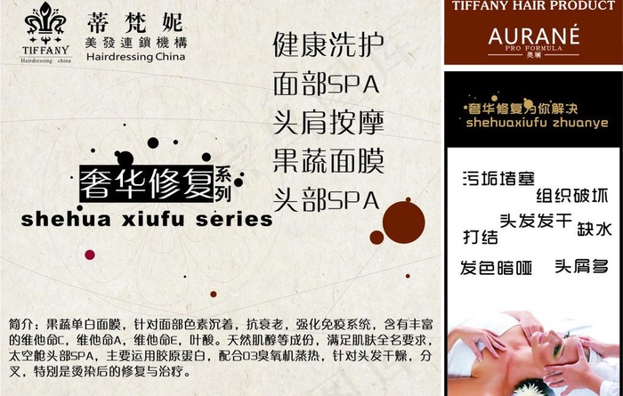 奢华修复 洗护篇图片cdr矢量模版下载