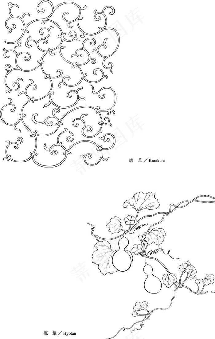 日本的植物花卉矢量素材22唐草绘图，葫芦