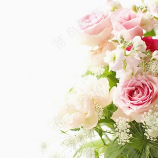 粉色玫瑰花静物设计素材