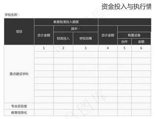 资金投入与执行情况验收表