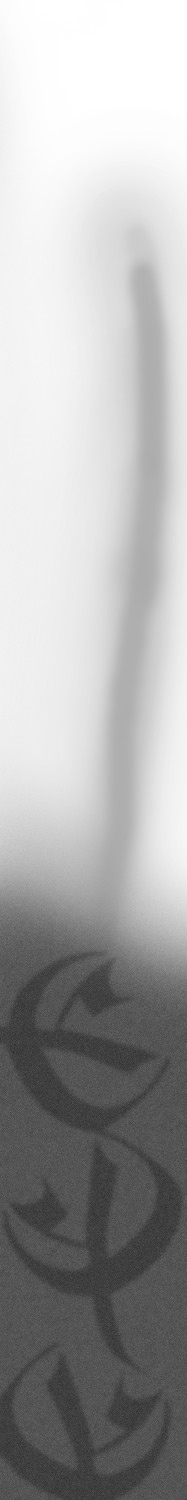 bone knife 骨匕首