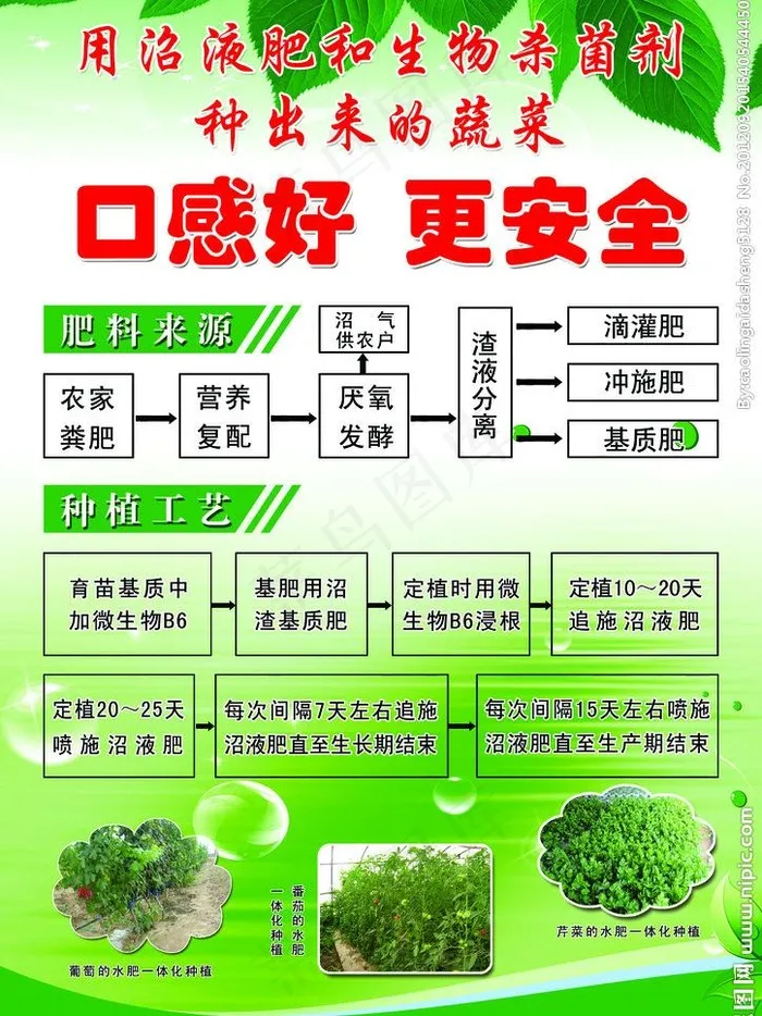 农业宣册彩页图片psd模版下载