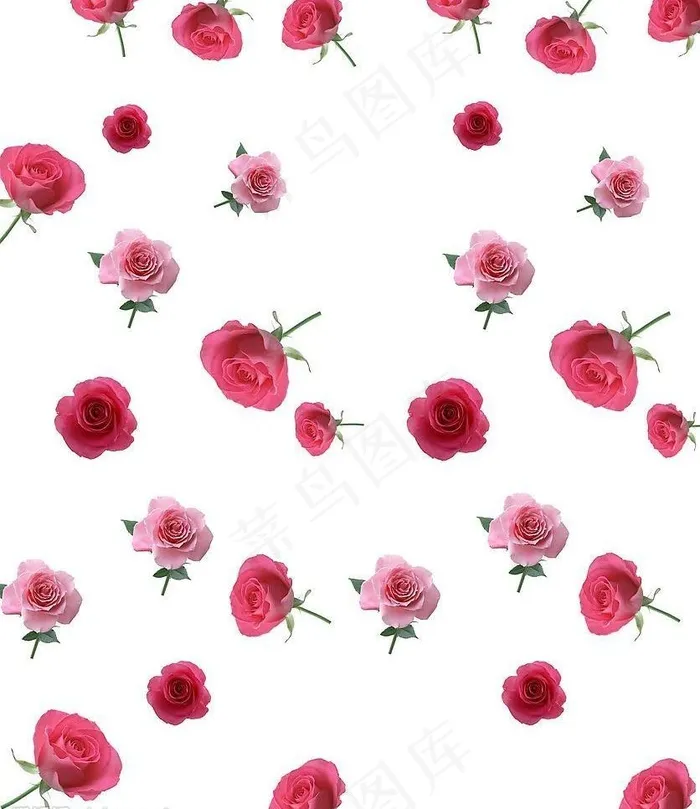 玫瑰花背景移门图图片(4724X5784(DPI:300))psd模版下载
