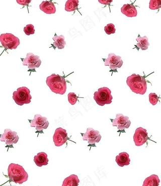 玫瑰花背景移门图图片