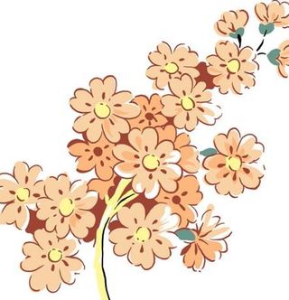 高清晰D花纹背景素材031