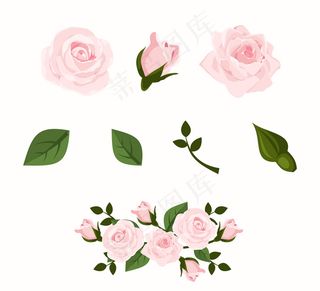 4款粉色玫瑰花和4款叶子矢量图
