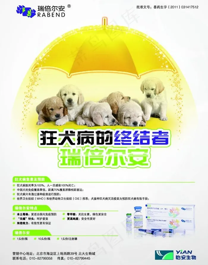 狂犬病宣传单图片ai矢量模版下载