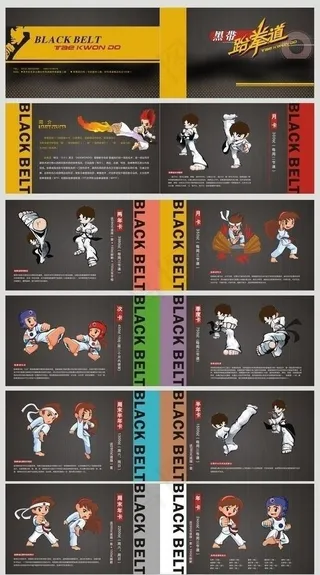 黑带跆拳道画册图片