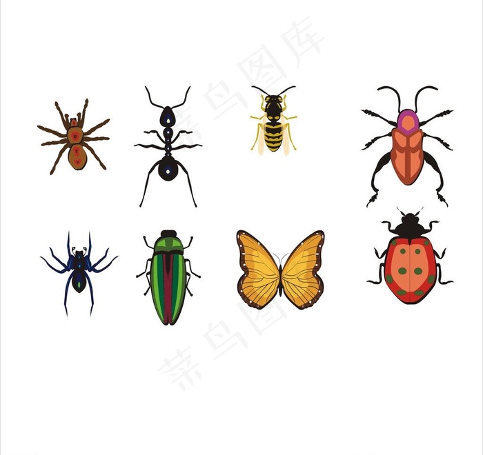 昆虫动物图片