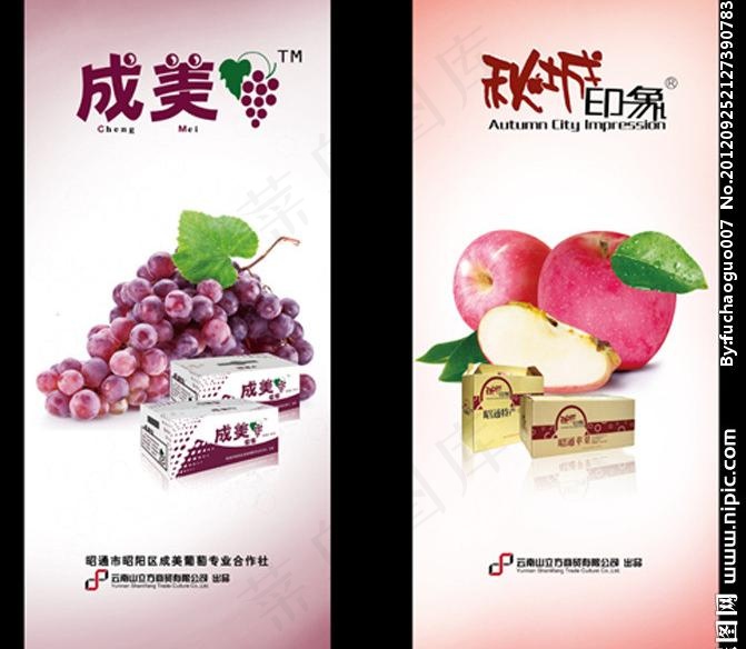 葡萄 苹果海报图片ai矢量模版下载