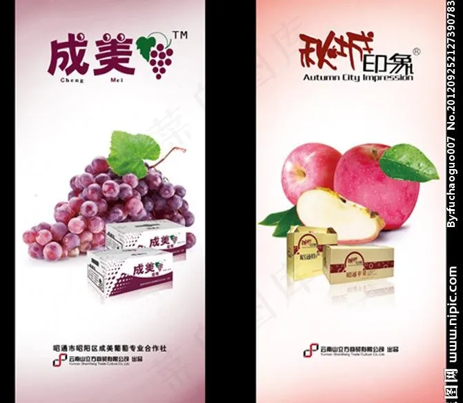 葡萄 苹果海报图片ai矢量模版下载