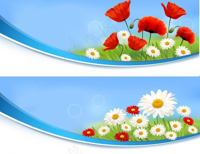 蓝色动感线条 鲜花花卡图片