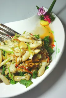 虫草花爆圣子王图片 虫草花爆圣子王图片