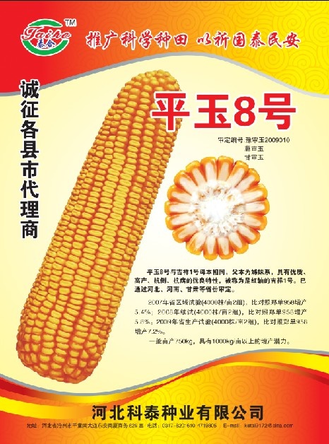 玉米宣传页psd模版下载