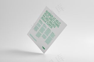 单张时尚白色折页海报样机