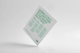 单张时尚白色折页海报样机