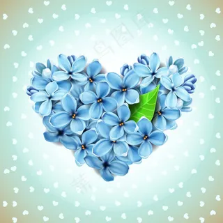 唯美的蓝色花朵