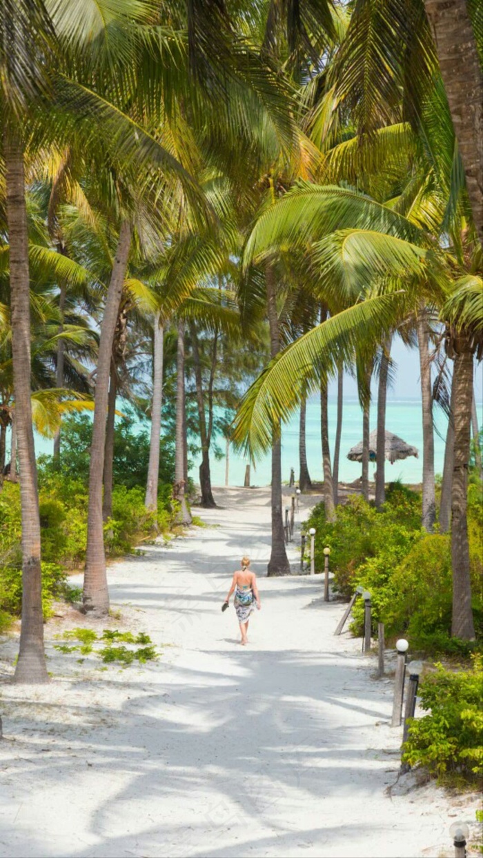 海边沙滩椰子树高清摄影图片