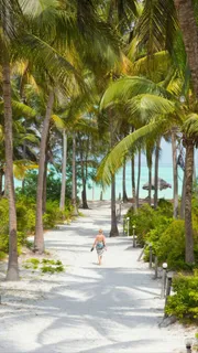 海边沙滩椰子树高清摄影图片 海边沙滩椰子树高清摄影图片