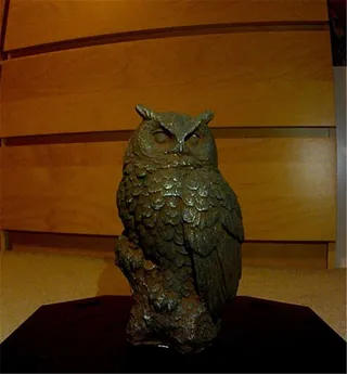 猫头鹰3D打印模型