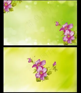 绿色名片背景图片