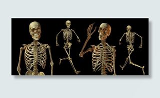 人体骷髅头素材PSD素材