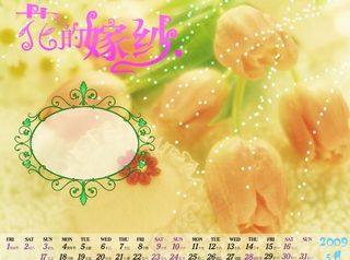 花的嫁纱系列09个性台历图片