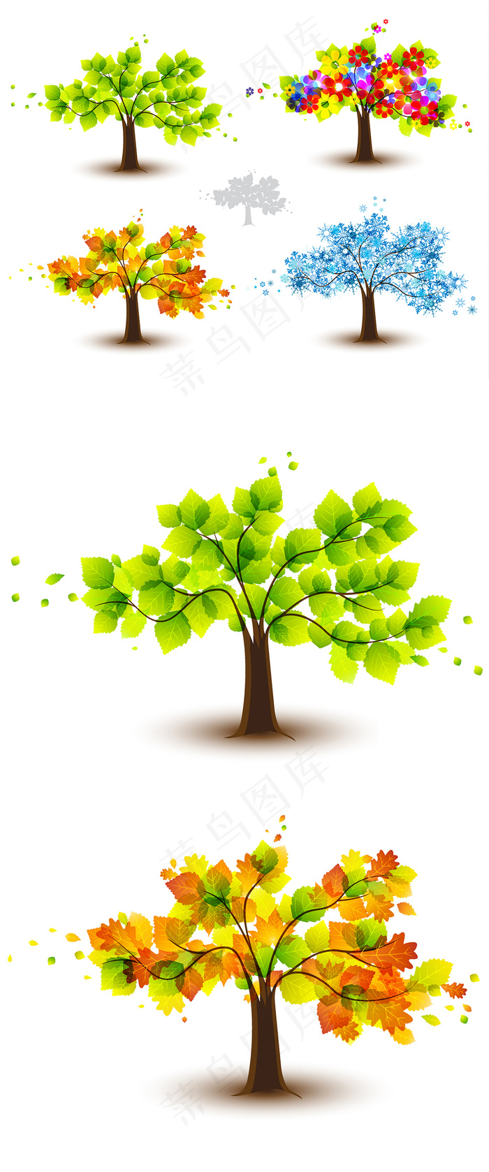 枫树春夏秋冬插画矢量素材