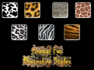 动物皮毛样式图片