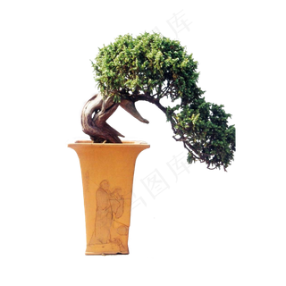 卡通树素材大树树木植物免扣PNG素...