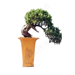 卡通树素材大树树木植物免扣PNG素...