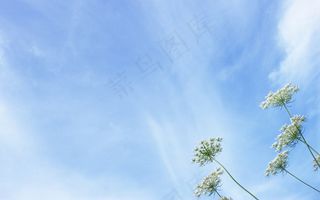 高清电脑桌面背景壁纸