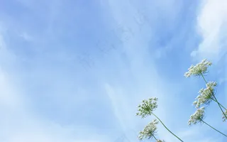 高清电脑桌面背景壁纸