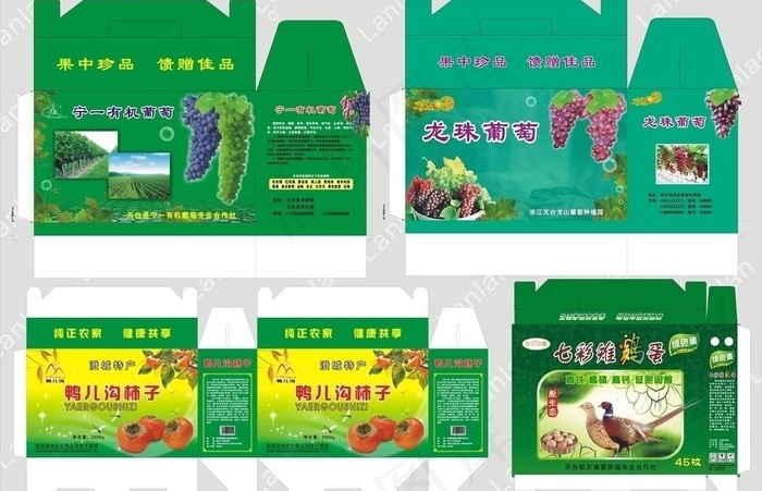 葡萄包装盒图片