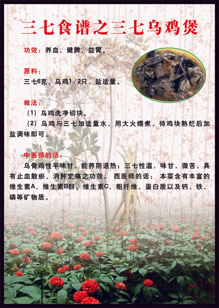 三七食谱乌鸡煲cdr矢量模版下载