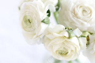 简约小清新文艺风插花静物摆拍背景